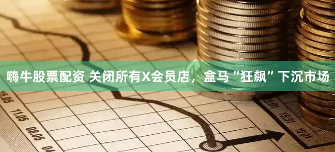 嗨牛股票配资 关闭所有X会员店，盒马“狂飙”下沉市场