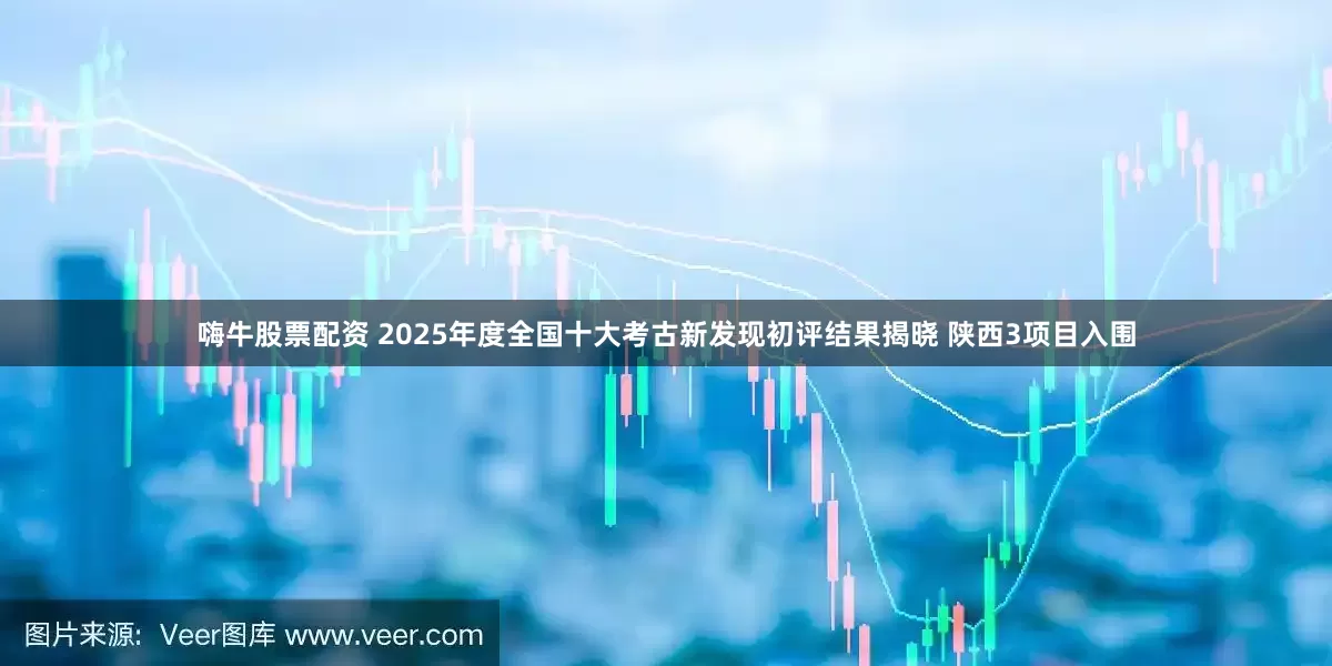 嗨牛股票配资 2025年度全国十大考古新发现初评结果揭晓 陕西3项目入围